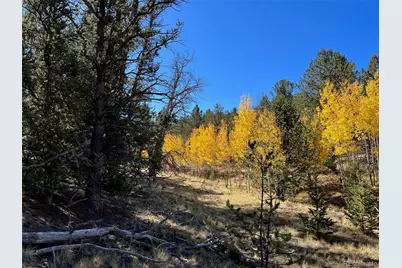 585 Vaquero Way, Como, CO 80432 - Photo 15