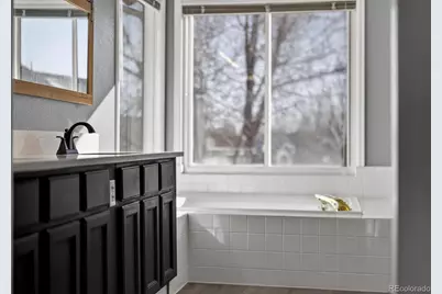 10626 Oakmoor Court, Parker, CO 80134 - Photo 49