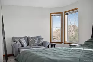 10626 Oakmoor Ct, Parker, CO 80134 - Photo 47