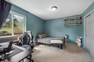 153 Chickadee Ln, Bailey, CO 80421 - Photo 17
