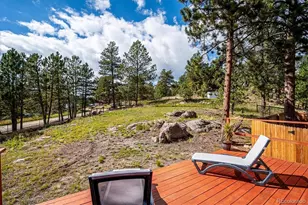 153 Chickadee Ln, Bailey, CO 80421 - Photo 7