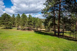 153 Chickadee Ln, Bailey, CO 80421 - Photo 37