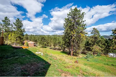 153 Chickadee Lane, Bailey, CO 80421 - Photo 39