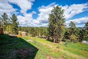153 Chickadee Ln, Bailey, CO 80421 - Photo 39