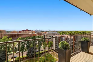955 Eudora St, Denver, CO 80220 - Photo 23