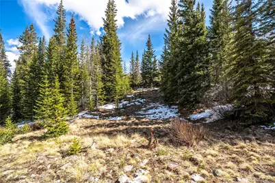199 Zinc Road, Alma, CO 80440 - Photo 33