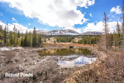 199 Zinc Road, Alma, CO 80440 - Photo 21