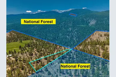 Overlook  Dr, Buena Vista, CO 81211 - Photo 3