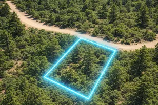 Lot 84 Mine Rd, Idaho Springs, CO 80452 - Photo 1