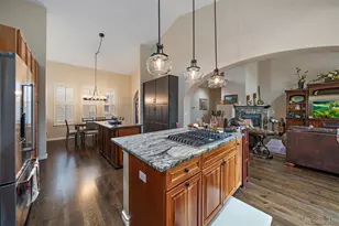 5061 Vermillion Dr, Castle Rock, CO 80108 - Photo 13