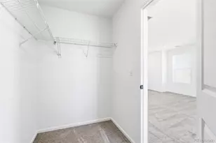 1081 Mourning Dove Ave, Erie, CO 80516 - Photo 27