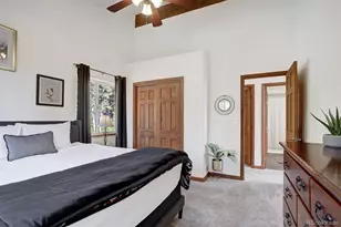50 Puma Crossing, Fairplay, CO 80440 - Photo 25