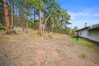 1325 County Rd 59, Guffey, CO 80820 - Photo 25