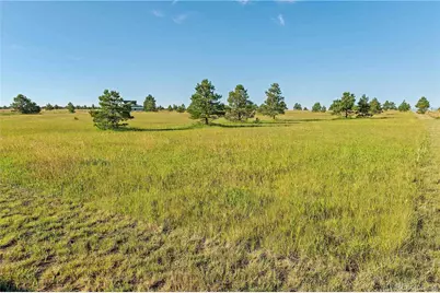 18150 Pinon Park Road, Peyton, CO 80831 - Photo 31