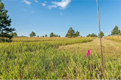 18150 Pinon Park Road, Peyton, CO 80831 - Photo 25