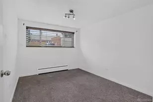 75 N Emerson Street, Denver, CO 80218 - Photo 19