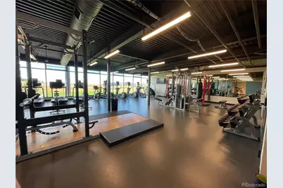 3303 Carabiner Street, Castle Rock, CO 80108 - Photo 47