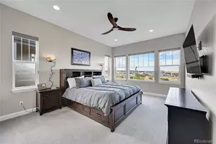 3303 Carabiner St, Castle Rock, CO 80108 - Photo 15