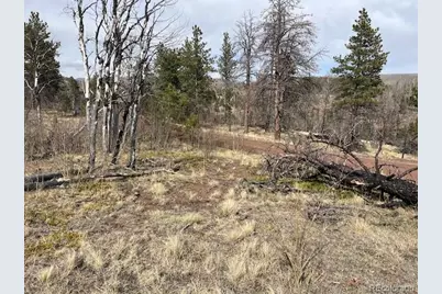 Lot 686 Cogbill Drive, Fort Garland, CO 81133 - Photo 9