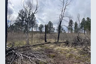 Lot 686 Cogbill Drive, Fort Garland, CO 81133 - Photo 19
