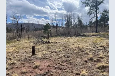 Lot 686 Cogbill Drive, Fort Garland, CO 81133 - Photo 5