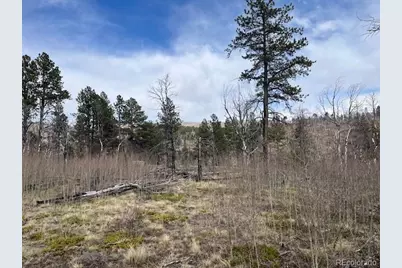 Lot 686 Cogbill Drive, Fort Garland, CO 81133 - Photo 15