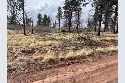 Lot 686 Cogbill Drive, Fort Garland, CO 81133 - Photo 3
