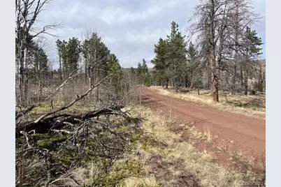 Lot 686 Cogbill Drive, Fort Garland, CO 81133 - Photo 7