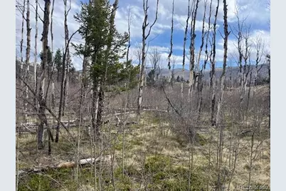 Lot 686 Cogbill Drive, Fort Garland, CO 81133 - Photo 13