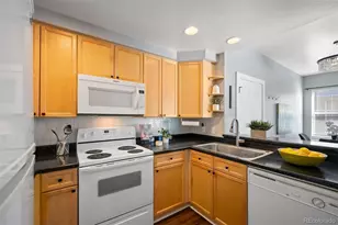 2819 Syracuse Ct, Denver, CO 80238 - Photo 11