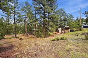 14032 S Olive Ave, Pine, CO 80470 - Photo 33