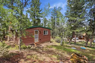 14032 S Olive Ave, Pine, CO 80470 - Photo 29
