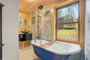 14032 S Olive Ave, Pine, CO 80470 - Photo 13