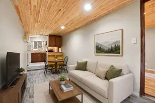 14032 S Olive Ave, Pine, CO 80470 - Photo 9