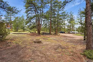 14032 S Olive Ave, Pine, CO 80470 - Photo 35