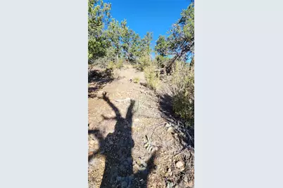 Tbd L 42nd Trail, Cotopaxi, CO 81223 - Photo 11