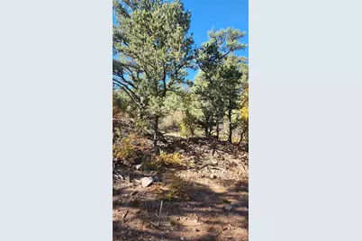 Tbd L 42nd Trail, Cotopaxi, CO 81223 - Photo 25