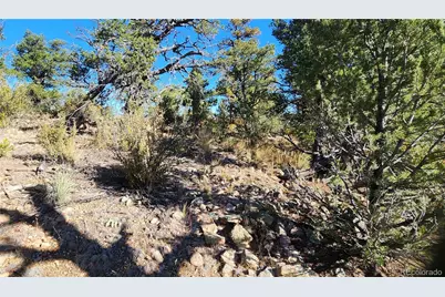 Tbd L 42nd Trail, Cotopaxi, CO 81223 - Photo 21