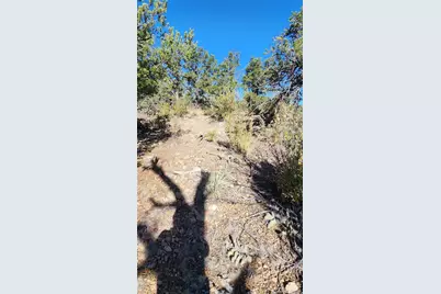 Tbd L 42nd Trail, Cotopaxi, CO 81223 - Photo 19