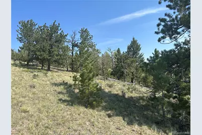 11414 Ranch Road, Hartsel, CO 80449 - Photo 9