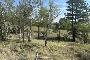 11414 Ranch Rd, Hartsel, CO 80449 - Photo 1