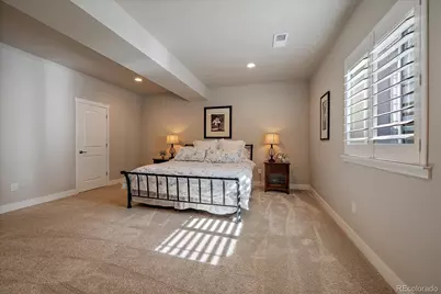 3236 Offbeaten Place, Castle Rock, CO 80108 - Photo 31