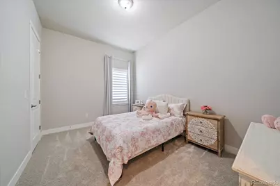 3236 Offbeaten Place, Castle Rock, CO 80108 - Photo 23