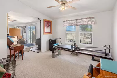 13786 Schoger Road, Nathrop, CO 81236 - Photo 11