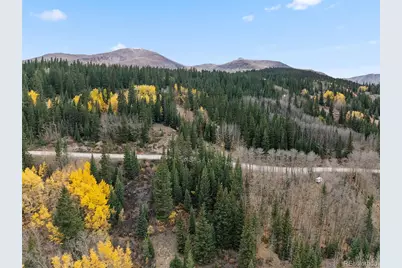 Tract B Roberts Road, Alma, CO 80420 - Photo 5