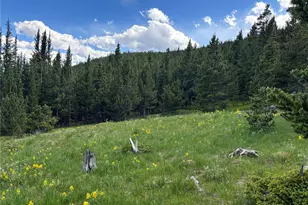 Hilltop Rd, Idaho Springs, CO 80452 - Photo 1