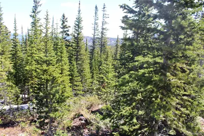 19420 Kingston Peak Road, Black Hawk, CO 80422 - Photo 11