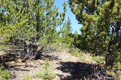 19420 Kingston Peak Road, Black Hawk, CO 80422 - Photo 15