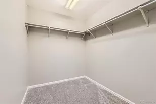 8834 Blue Mountain Pl, Highlands Ranch, CO 80126 - Photo 21