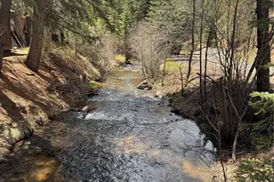 15751 S Elk Creek Road S, Pine, CO 80470 - Photo 21